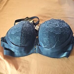 Torrid push up plunge bra 44B